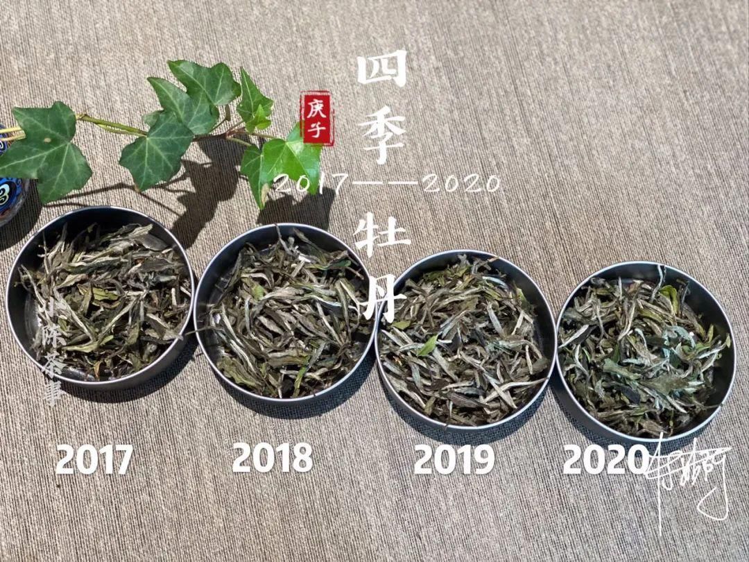 因素|白牡丹喝出了白毫银针的感觉,抛开等级的因素,良好的储存是关键