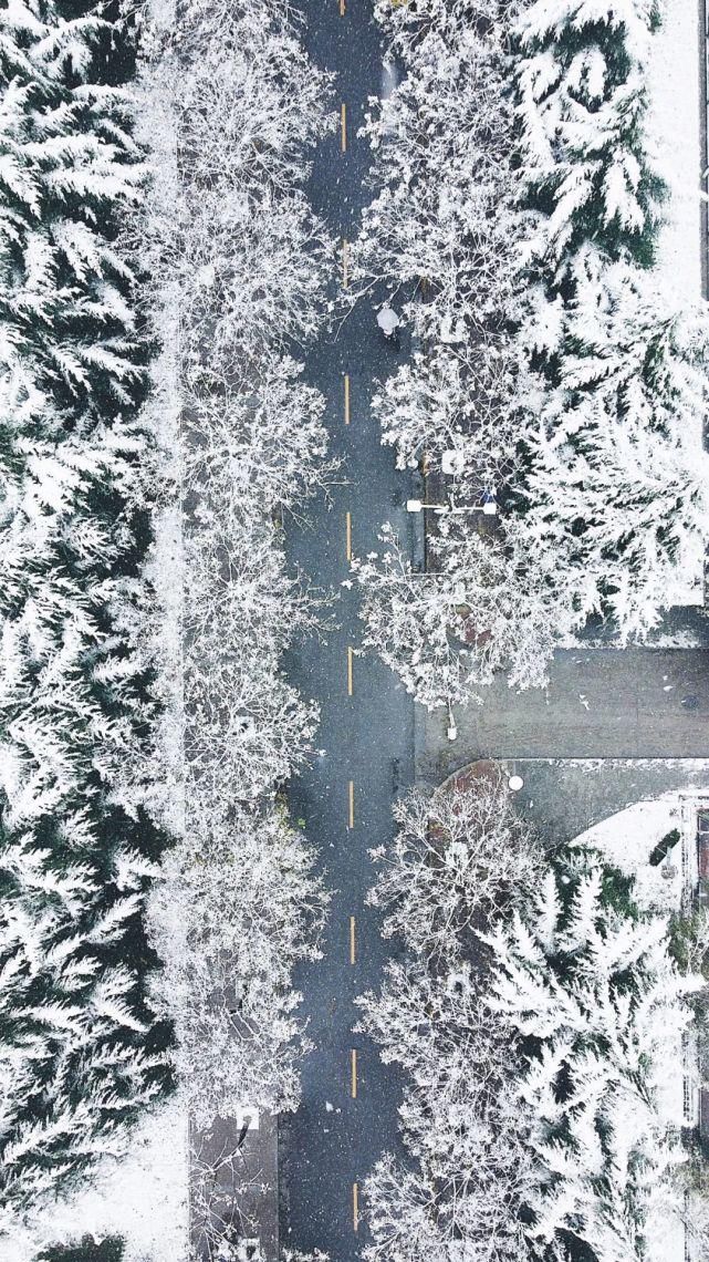 公众号|今日份心动！师大初雪2?2?