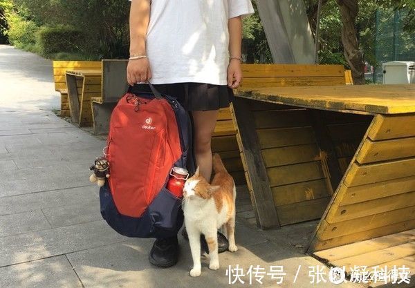 多特韦特 我的装备清单 篇十二:城市&户外全都hold的住—多特 韦特XV2背包