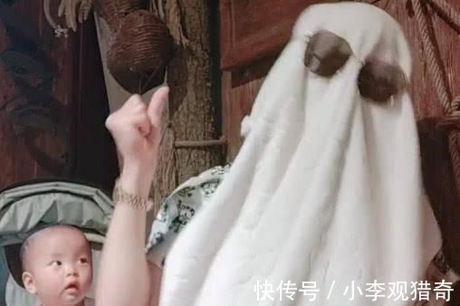 我妈|“迪拜首富宝妈”哄娃火了，萌娃一脸懵圈我妈不会是个傻子吧