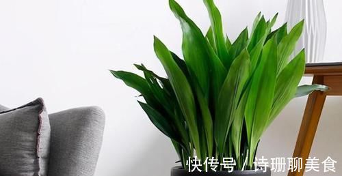 冬天，想要保花草“0伤亡”，不能光凭搬入室内，还得做到这些