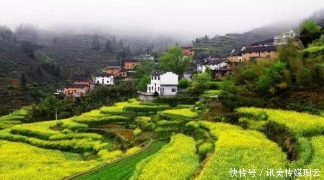 圆弧|【安徽油菜花】最全徽州油菜花赏花地图来了,这份攻略要收好