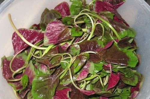 牛油果|女性坚持吃3种食物，排毒养颜、延缓衰老，身体棒棒哒！