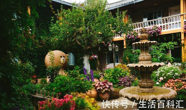 栽种|院子里有空地要种三种树,没空地挤挤也要种,寓意深远