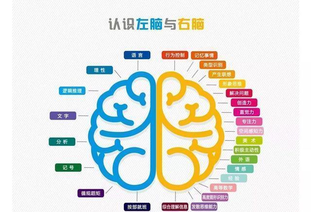 学习习惯|孩子将来是不是学霸,或许从小有征兆,有这4个特点就偷着乐吧