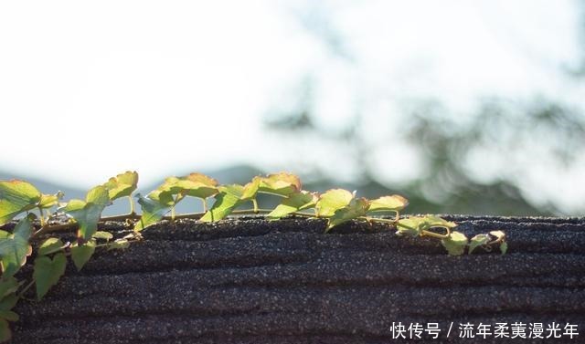 福报|掌门说人到四十,莫做四事,尤其是第二件,极损你的福报