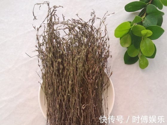 野草|三天挖不到一斤,每斤卖800元,见到别错过,因为它很稀罕!