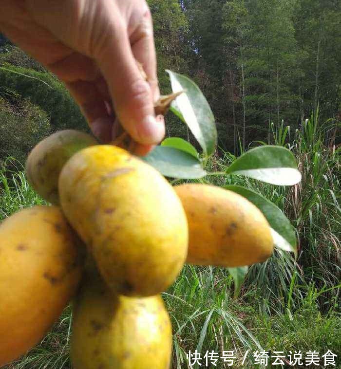 女性不想子宫早衰,多吃此果,子宫慢慢变好,远离妇科炎症