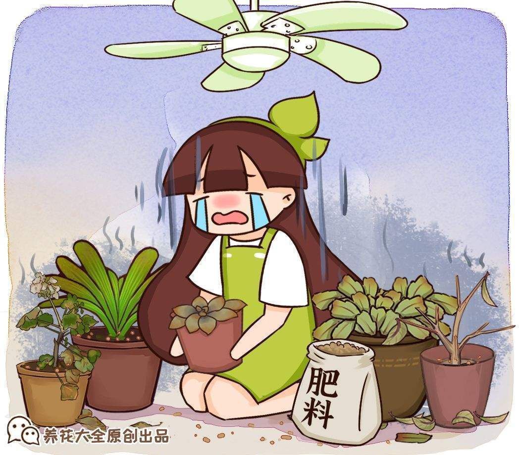 家里的养花土生虫子?学会这几招,什么虫子都不用怕了