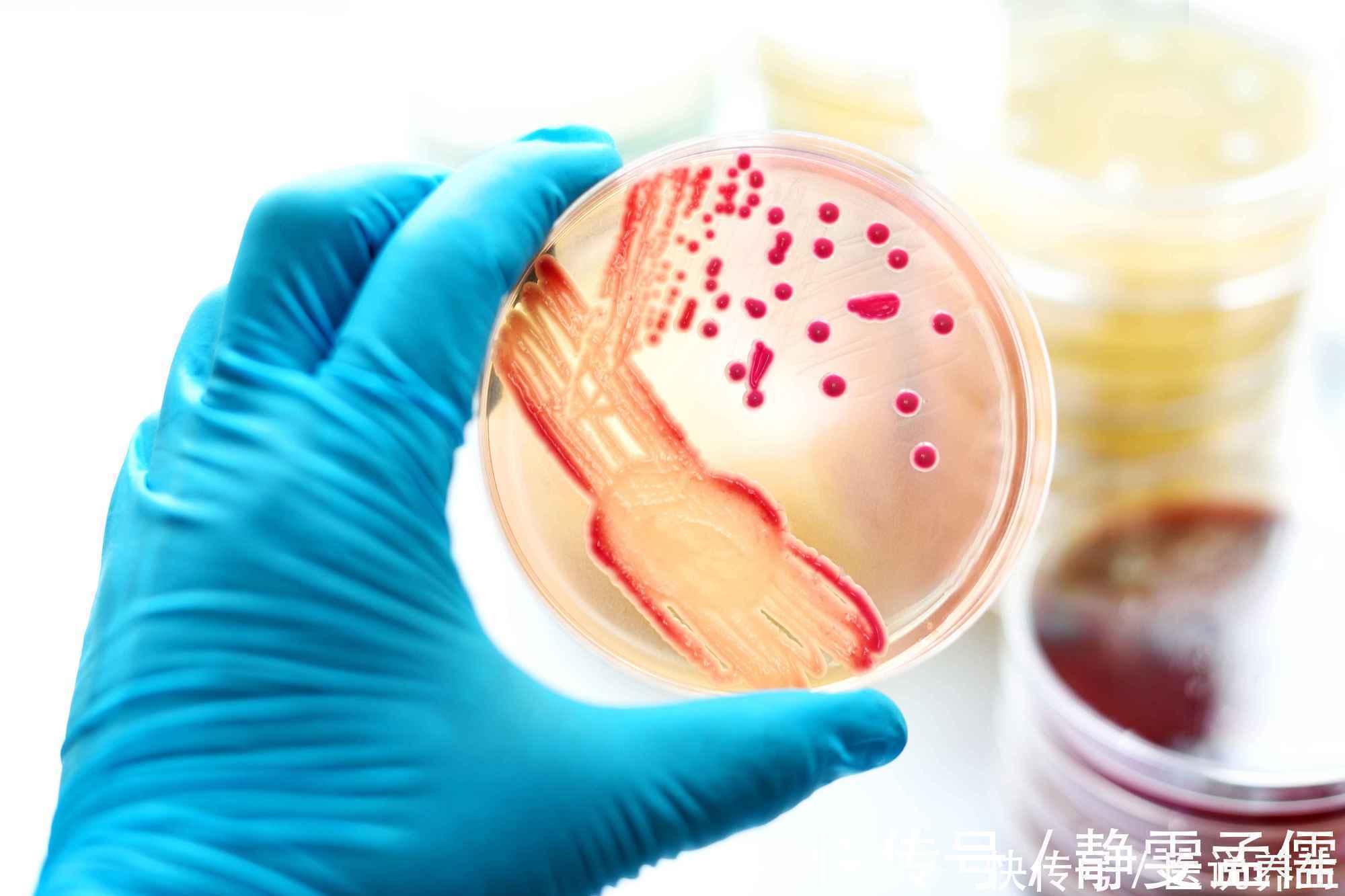 家里不起眼的地方，竟是霉菌藏身地，不想得病，劝你勤快点