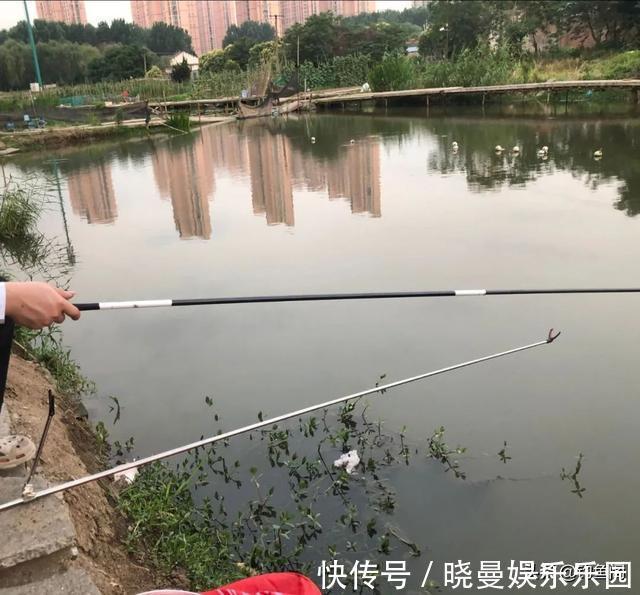 阴沟|黑坑老板阴沟里翻船,这次被钓鱼人给“坑”倒闭了