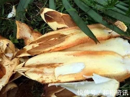 营养|每天可以坚持吃3种食物，补充营养、排毒养颜，身体棒棒哒