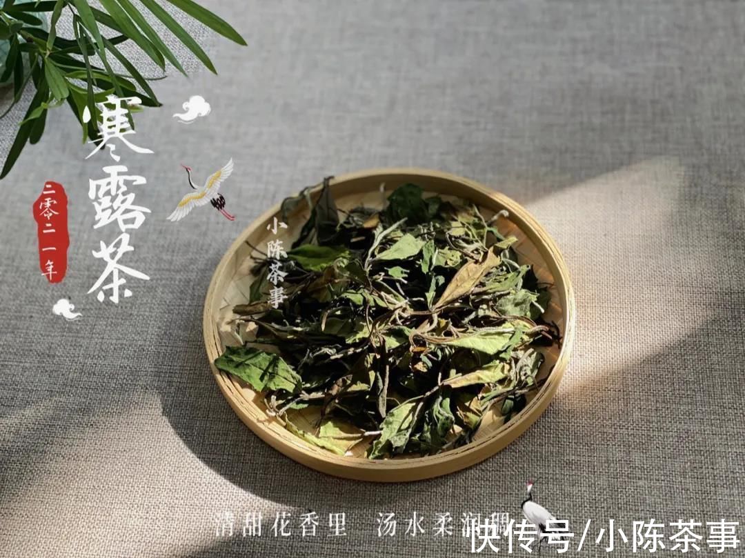 茶友$讨论：巧克力味白茶，究竟是高端茶独有的风味，还是茶掌柜的套路