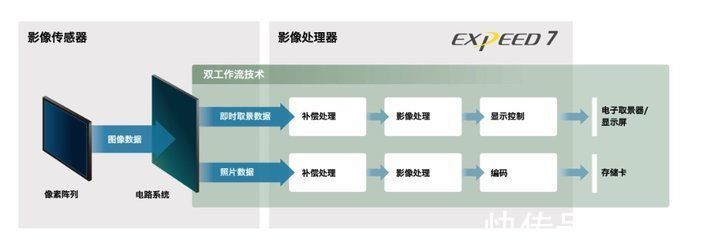 旗舰级|尼康发布 Z 9 旗舰级无反相机：纯纯的旗舰，除了价格，没有一点缩水