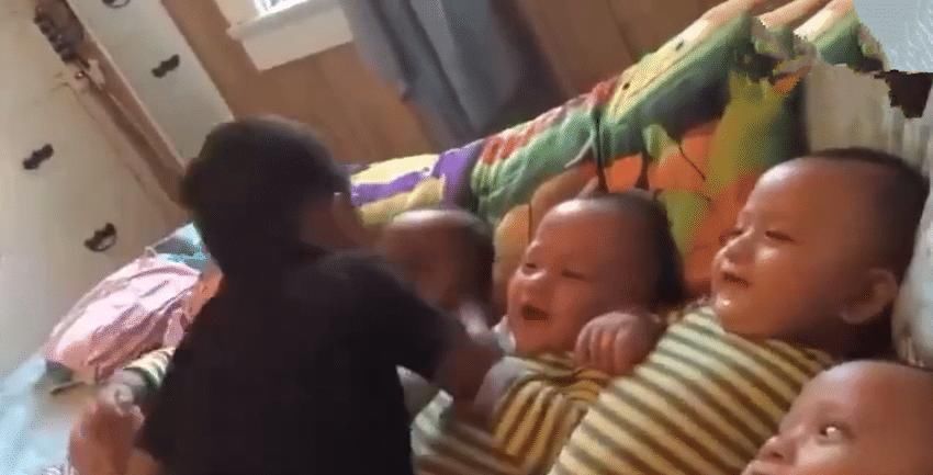 稀罕|面对家里的五胞胎,哥哥不知道“稀罕”谁好,挨个亲也亲不过来!