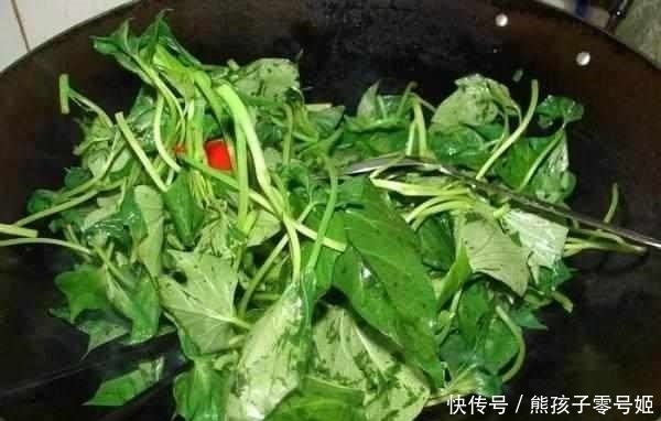 刺龍牙|農(nóng)村這些野菜無人理睬,但營養(yǎng)價值很高
