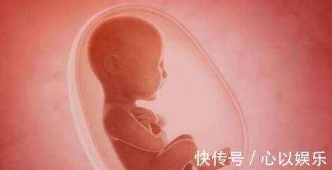 孕期|胎儿的性别,事实是在孕期的这个时间段形成的,宝妈们来看看