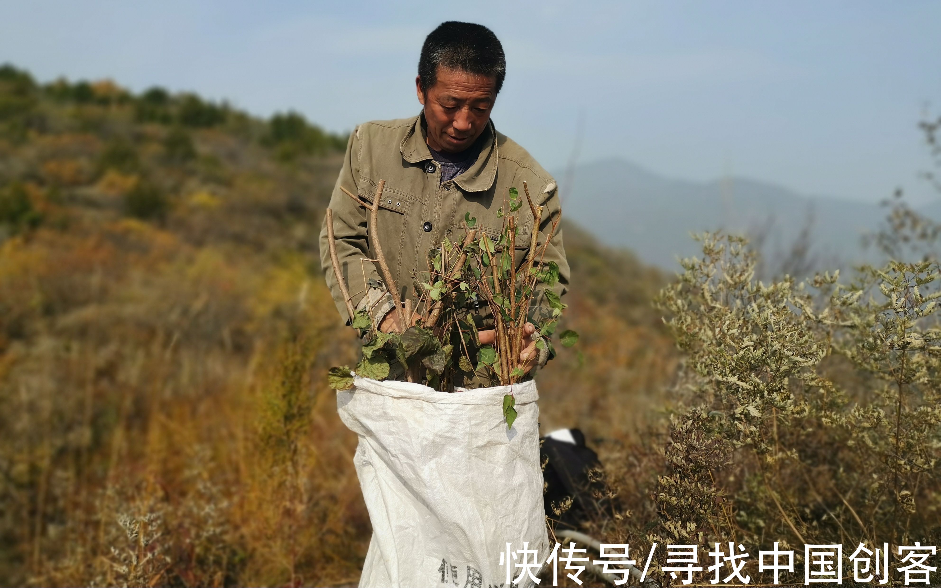 种树人|京西深山种树人：背着树苗爬坡 最远要走五六公里山路