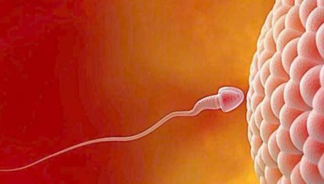 白带|别再为了怀孕计算排卵期了,看身体反应,出现三个说明排卵期来了