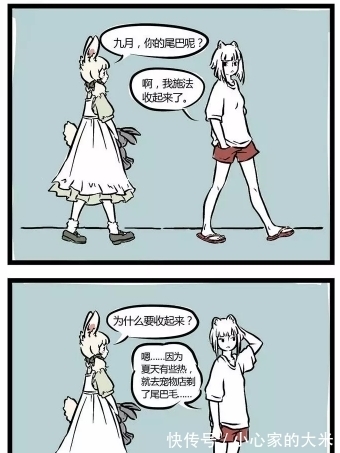 尾巴|非人哉：九尾狐初次幻化成人形，还想跟玉总互换尾巴！