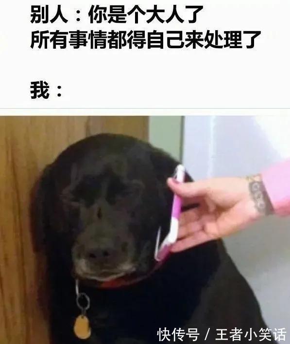 |「被窝段子0925」发脾气 只表示您的智慧不足以解决您所面临的问题