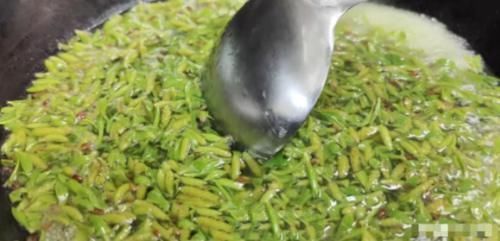 柳树|这种树的嫩芽还能吃?富含多种维生素,身边到处都是,做成菜,香!