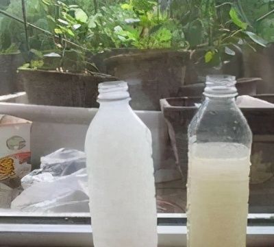 花盆里|花盆里长出“白碱”不是好事,对花草危害大,学会这5个处理方法