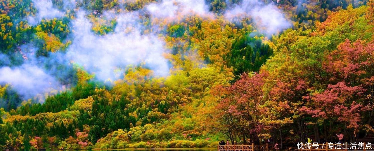 黄山|来一场说走就走的旅行, 这五个景点风景如画！