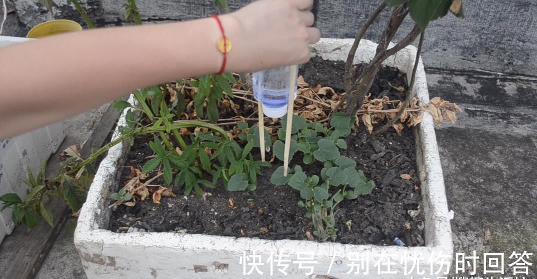 筷子|塑料瓶上绑2根筷子, 这个作用太棒了, 解决了很多家庭的烦恼