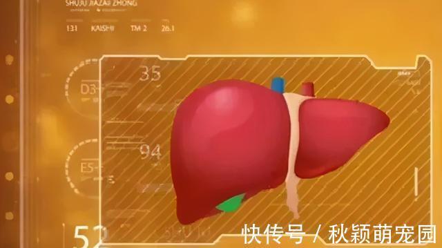 长寿有8个“金标准”！身体健不健康，一看就知道！你达标了吗？