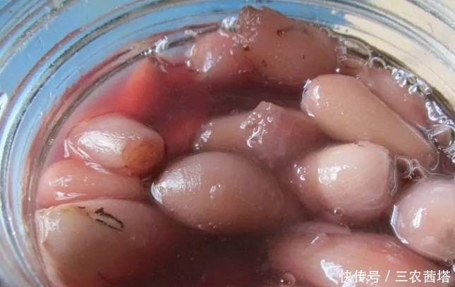 农村一种埋土里的野果,过去5毛一碗抢着吃,如今却要35元一斤