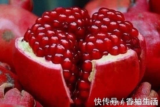 白发|有白头发别急着去染,教你几个食疗方,白头发轻松黑回来