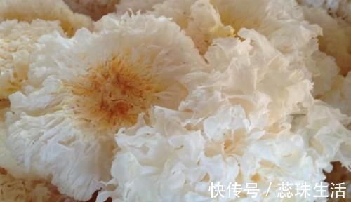 清洁工|5物是肺部“天然清洁工”,平时敞开吃,助你排毒清肺一身轻