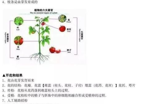 初中生物：复习时期，来一份知识点大全吧！