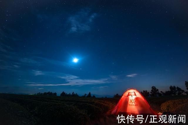 新昌大佛龙井|寻梦浙江