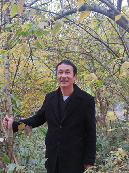 王濛@安频:人间烟火中的微光