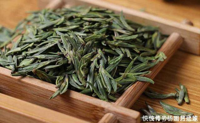 茶叶渣直接倒了真可惜,不如这样处理,当成养花肥促进开花