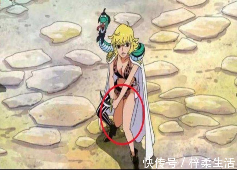 颜值|海贼王：那些年被路飞伤心的4个女人，颜值有高有低，可惜可惜