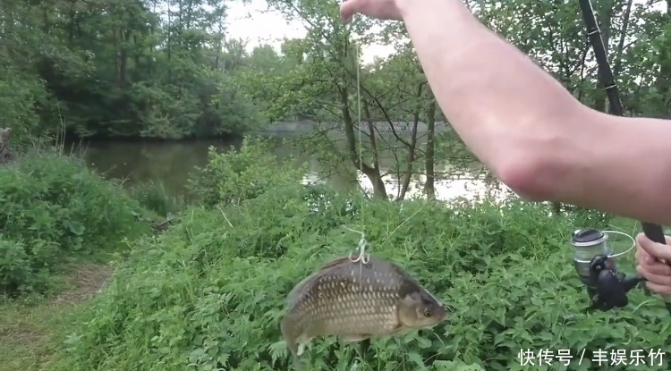 钓鱼|男子用鲫鱼当诱饵,被朋友们嘲笑,最后钓到的鱼让朋友们闭了嘴