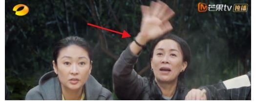 嘉賓們|我就直說(shuō)了那英真不適合《向往5》，沒(méi)說(shuō)她不好，而是容易得罪人