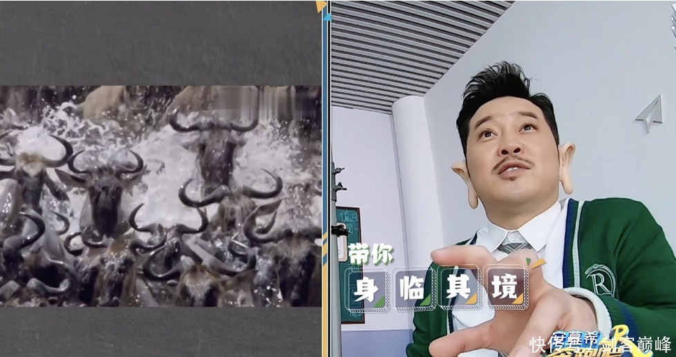 笑点 《跑男8》请对人了,凭借一人之力拯救口碑,力压《极限挑战》