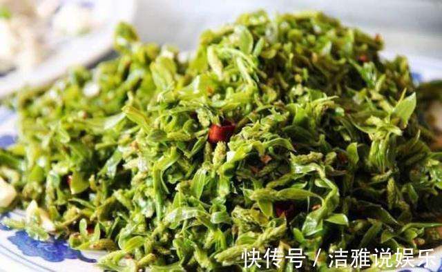 车前草|这些野菜随处可挖,个个都是抗癌大王,你认识几个