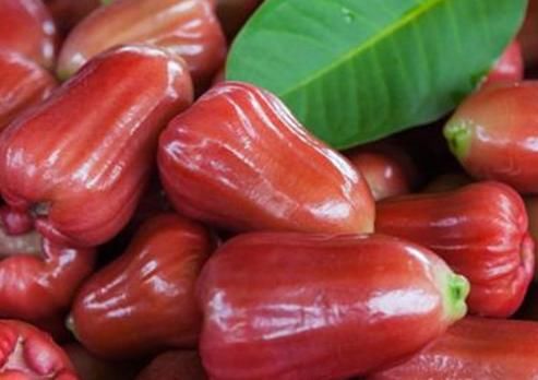 莲雾|对身体最好的三种食物，补充身体营养，淡化皱纹