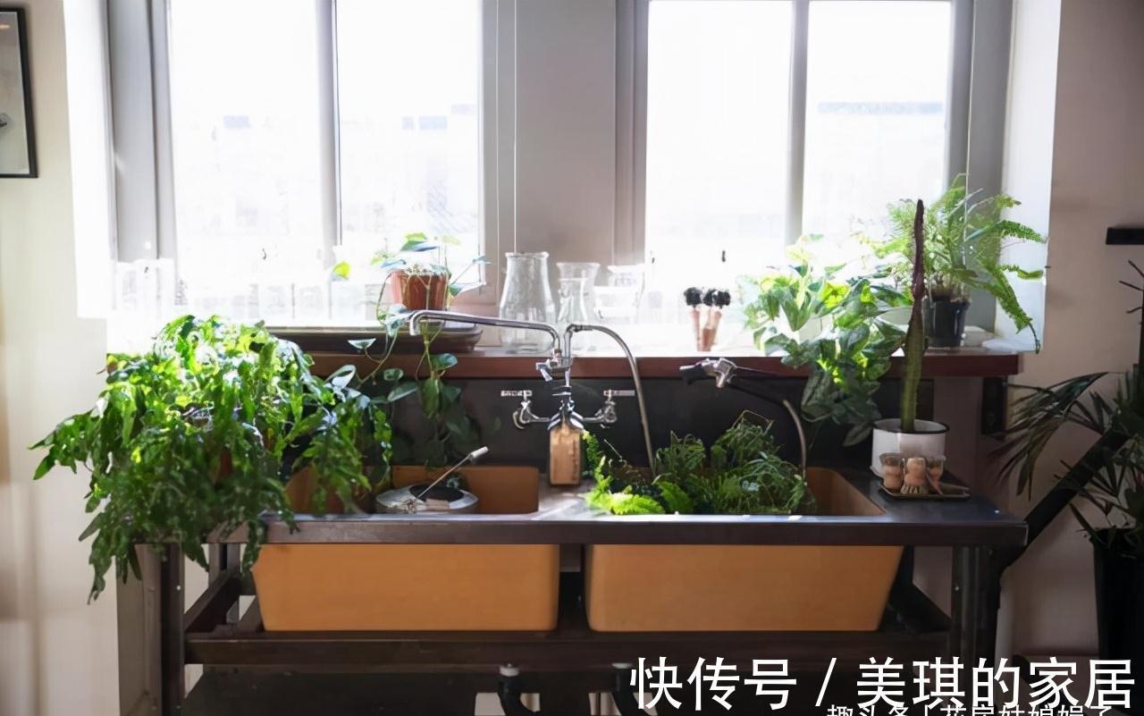 养花时明明没有多浇水,为什么还是“烂根”了?原因在这儿