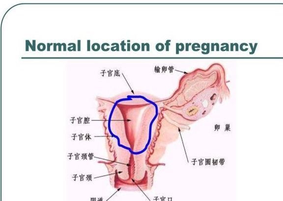 怀孕|怀孕8个月，老婆就生下了宝宝，丈夫：这是亲生的？