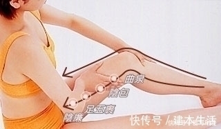 水肿|每天敲敲大腿此处,坚持1个月,除了保养肝脏,还有4个好处