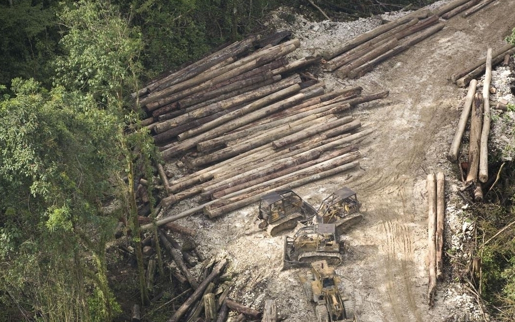 动植物|黑市每公斤最高可达500元!发菜不属于植物,为何人喜欢吃?