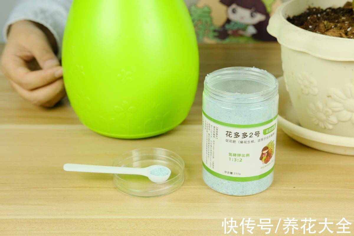 不会选花肥的,一瓶“花多多”就搞定,十来块钱啥花都能用