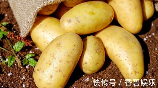 挑选土豆有窍门教你挑选土豆的3个小窍门,保证美味又好吃