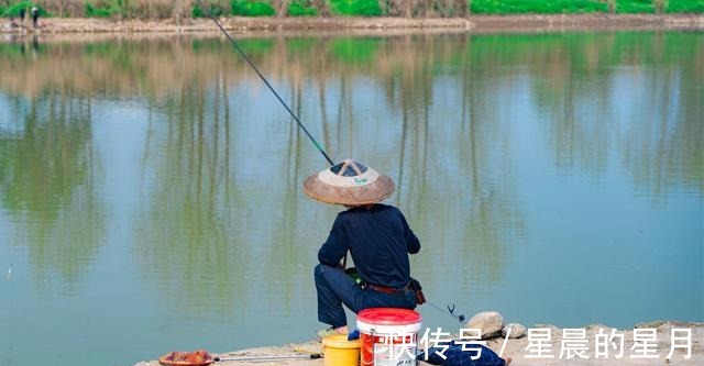 野钓鲫鱼和鲤鱼等淡水鱼如何用麦谷做窝料野钓窝料的制作要点!